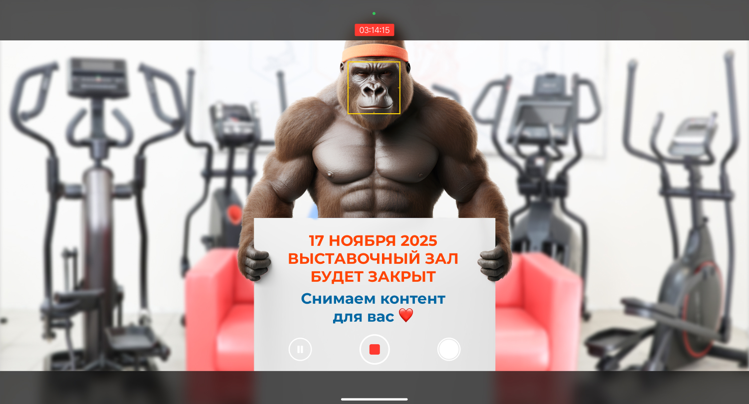 В понедельник (17 ноября 2025 г.) выставочный зал не будет работать.